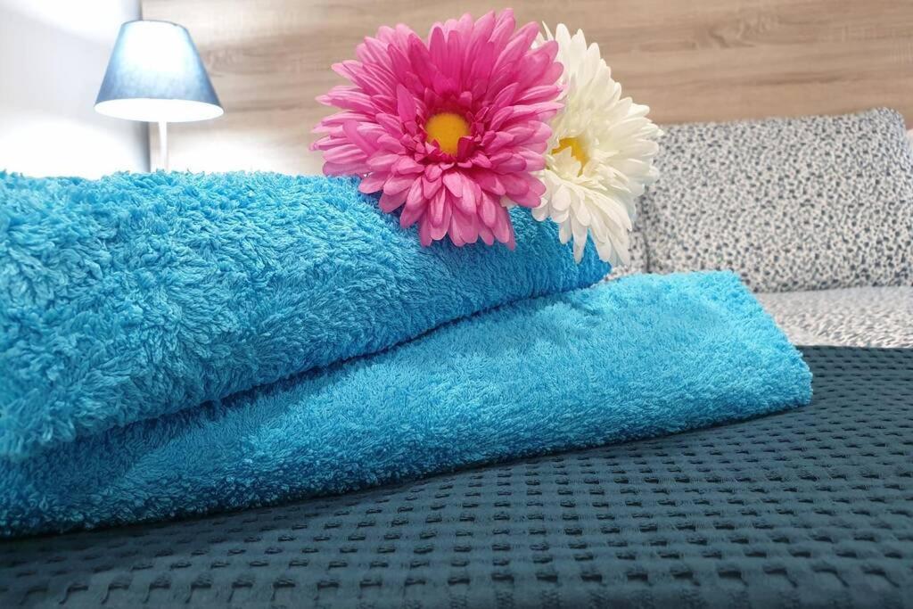 Appartement Eucalipto *